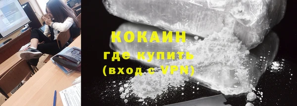 прущие грибы Инсар