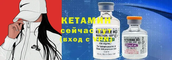 прущие грибы Инсар