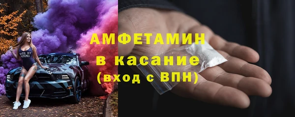прущие грибы Инсар