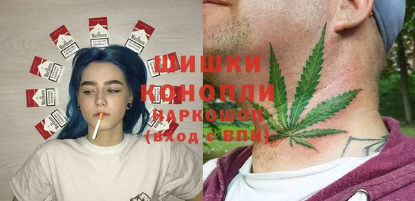 прущие грибы Инсар