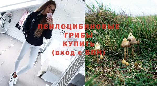 спиды Инта