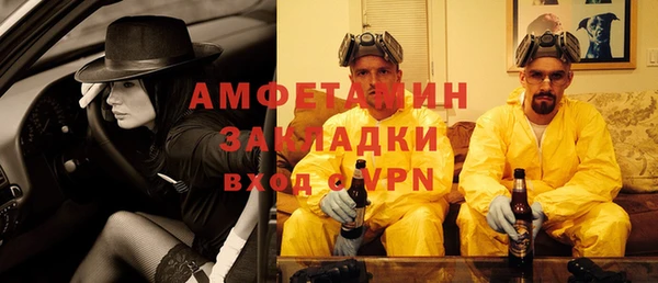 прущие грибы Инсар