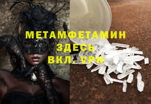прущие грибы Инсар