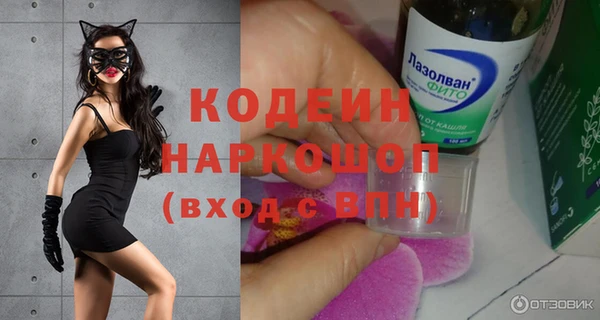 прущие грибы Инсар